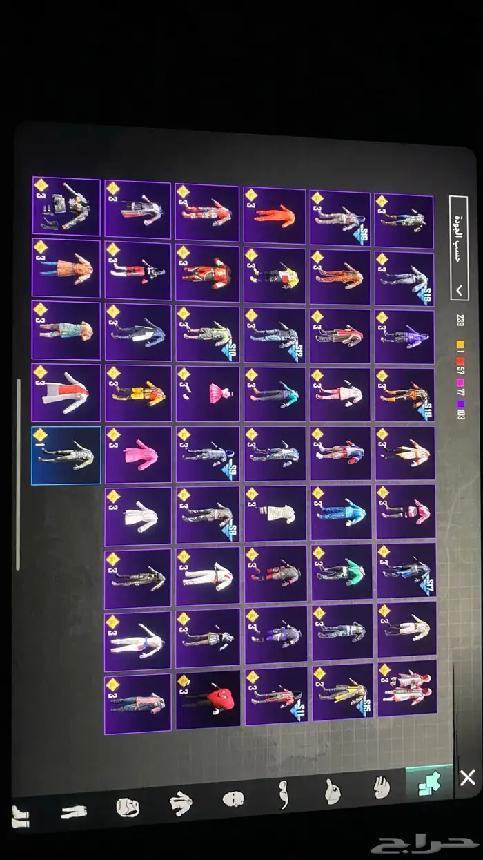 حساب ببجي للبيع 21