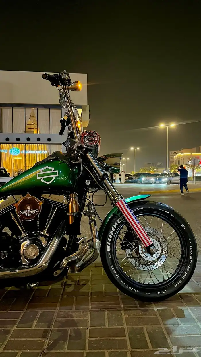 هارلي داينا ستريت بوب 2013 9