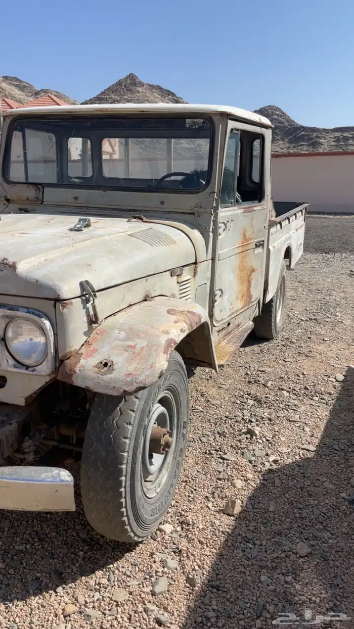 شاص 79 كل شي شرط 0