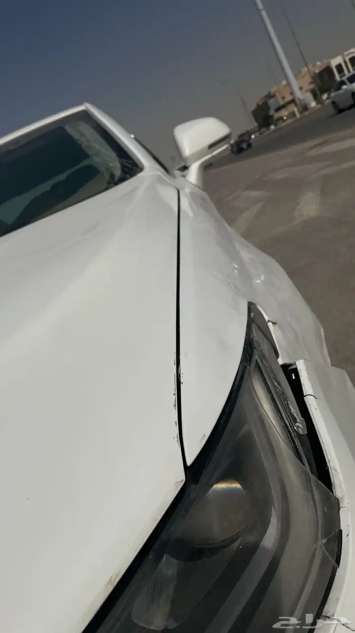 رفرف تورس 2021 11