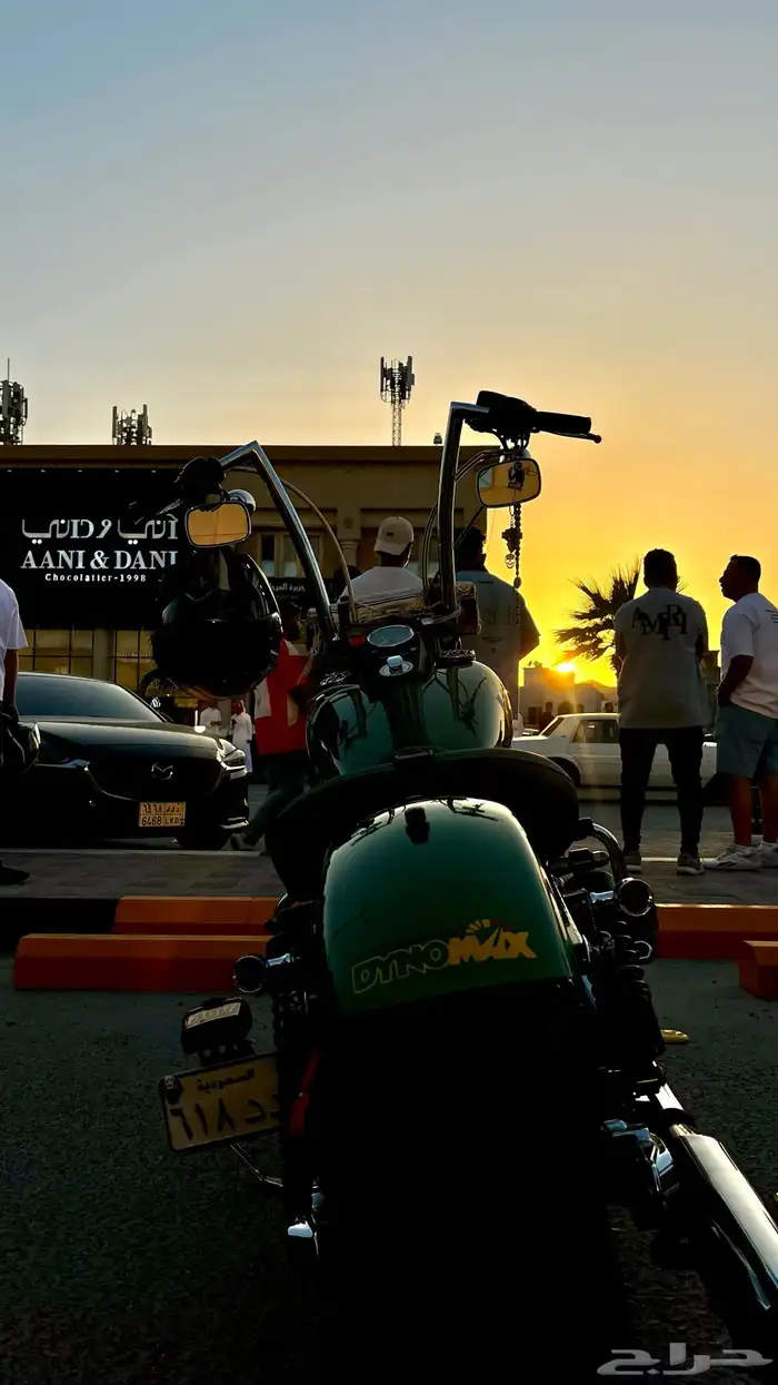 هارلي داينا ستريت بوب 2013 4