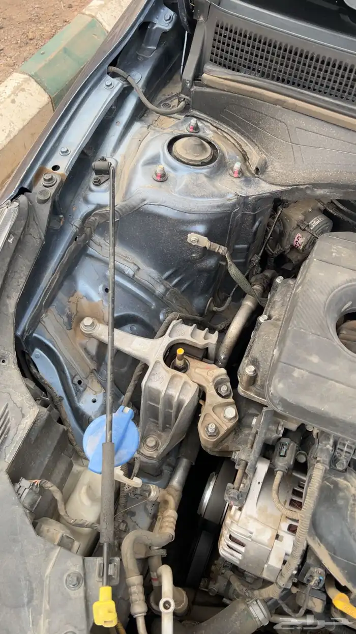 سيراتو 2019 وكاله 14