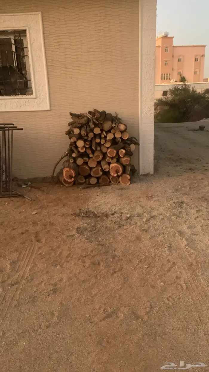 حطب مستورد للبيع حملة هايلوكس مسحة صندوق 0