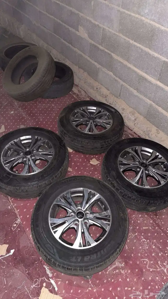 جنوط للبيع 1