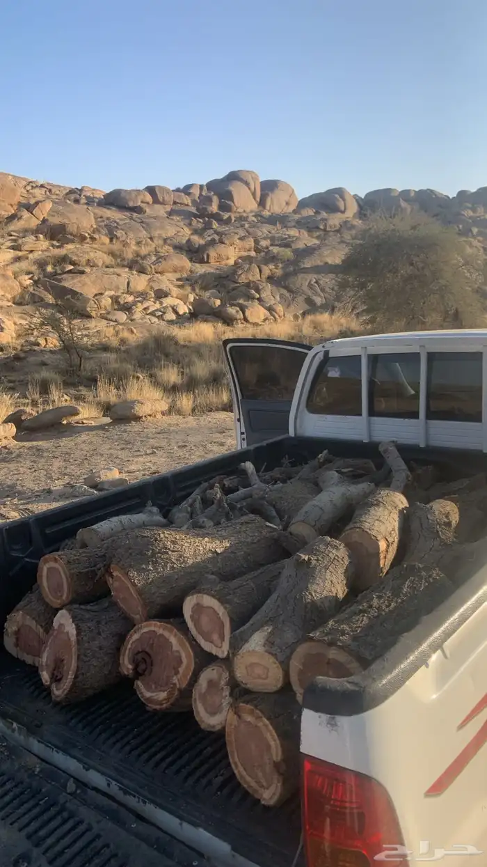 حطب مستورد للبيع حملة هايلوكس مسحة صندوق 3