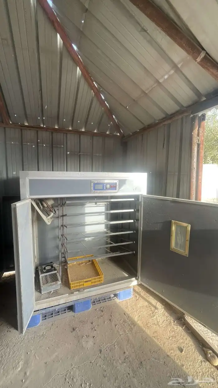 للبيع مشروع انتاج دواجن بالكامل 15