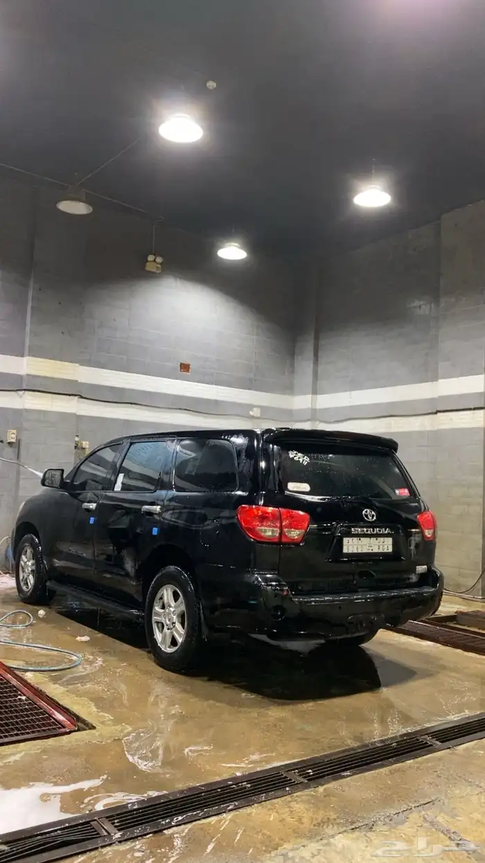 سكويا للبيع 2009 5