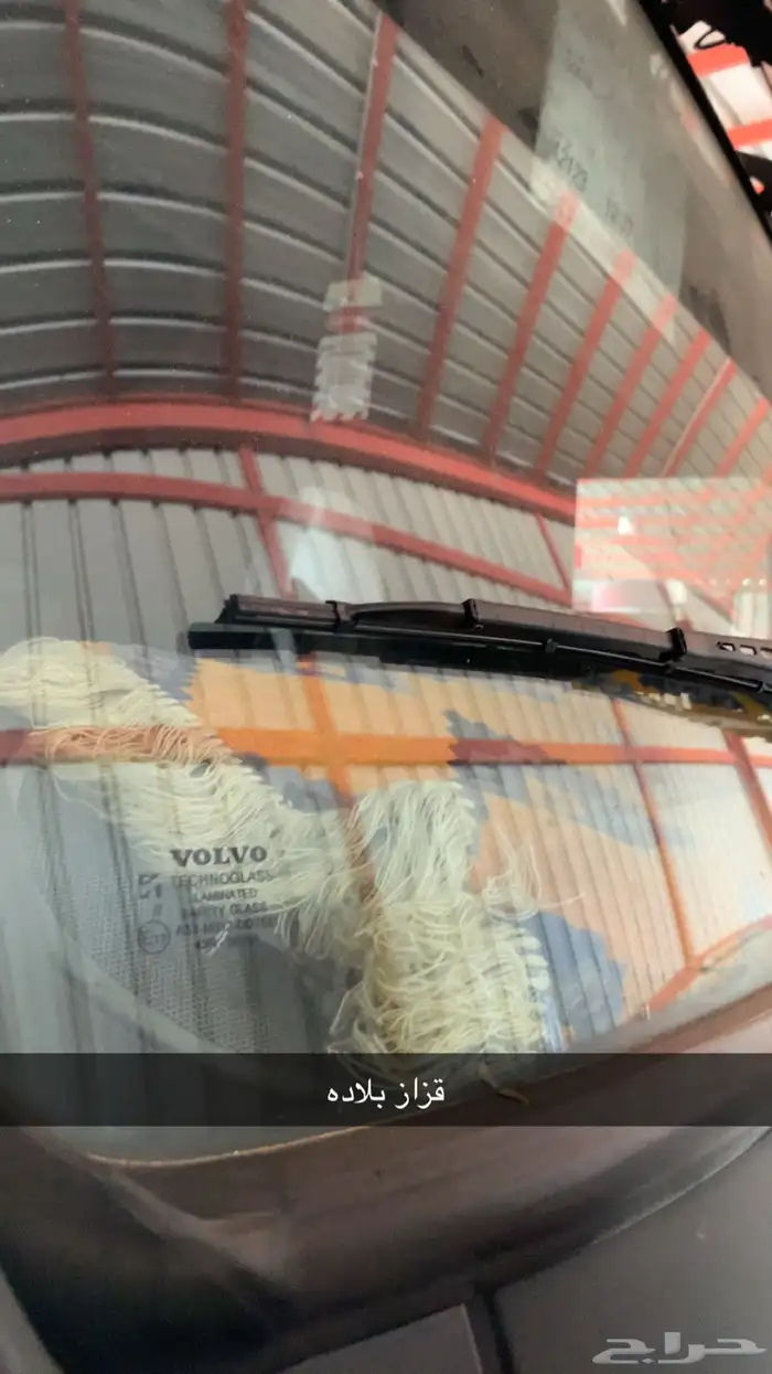 فلفو زاهد 2012 5