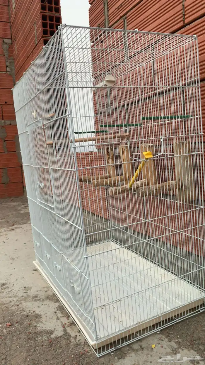 مطير زيبرا بكامل ملحقاته واستخدام بسيط ونضيف ( تم البيع ) 2