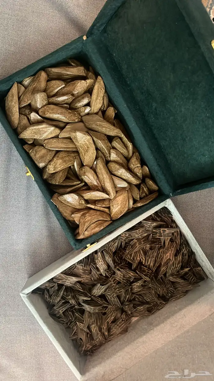 عود تايقر - عود مروكي - افضل انواع العود سعر رمزي 3