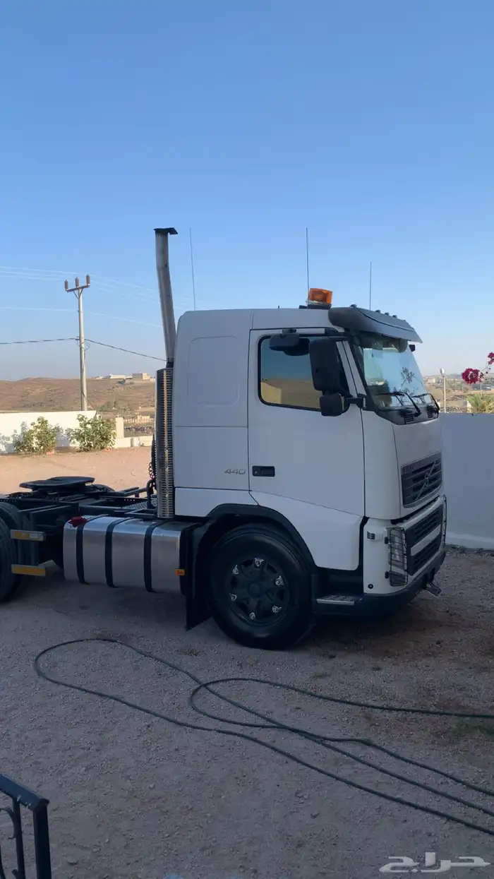 فلفو زاهد 2012 23