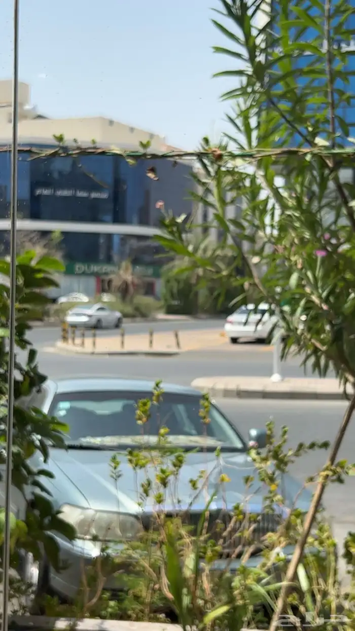 لنكولن تاون كار 2006 سقنتشر 8