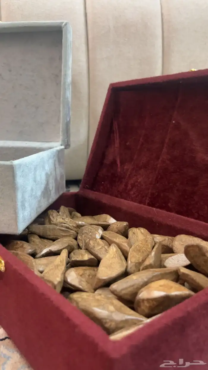 عود تايقر - عود مروكي - افضل انواع العود سعر رمزي 8