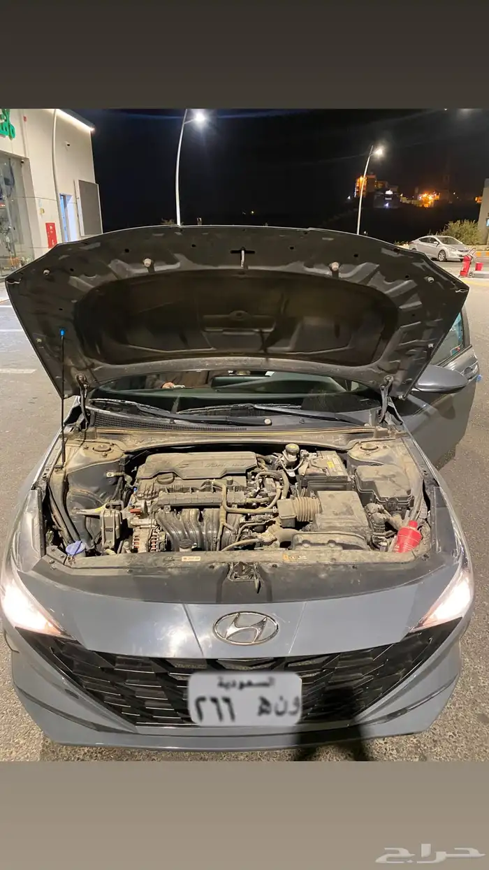 النترا 2021 ستاندر 19