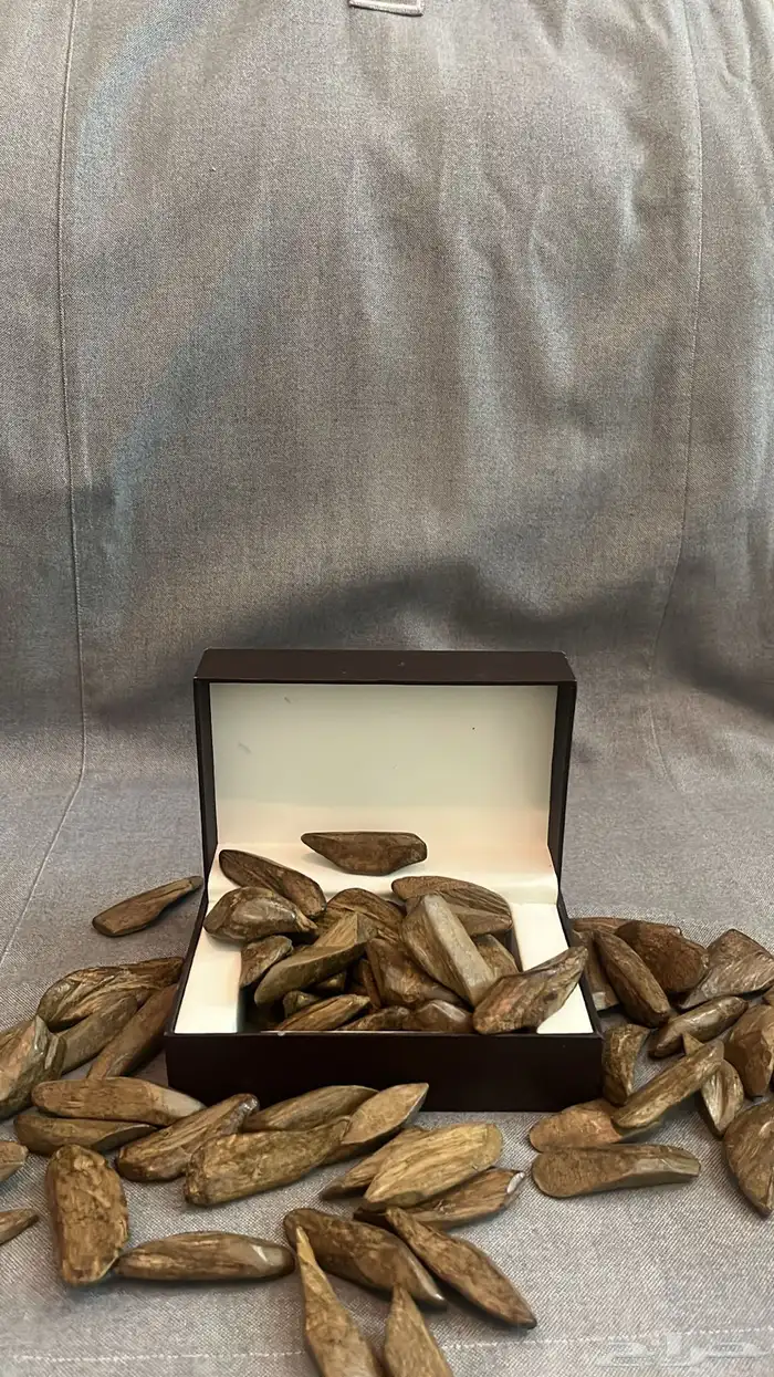 عود تايقر - عود مروكي - افضل انواع العود سعر رمزي 2