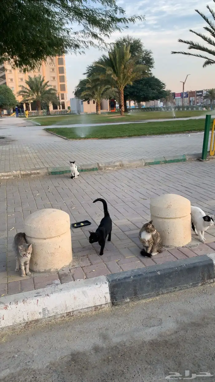 السلام علييكم 2