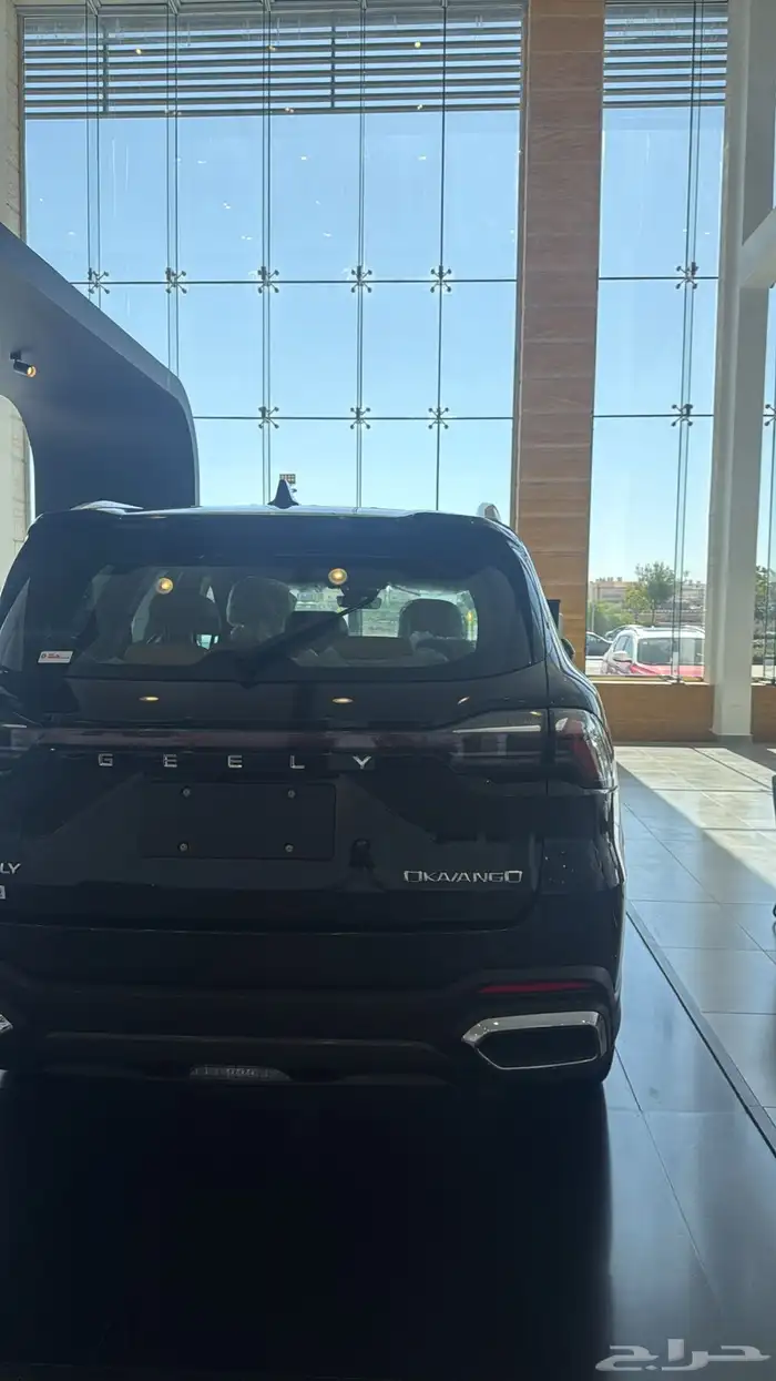 جيلي اوكافانجو 2025 2