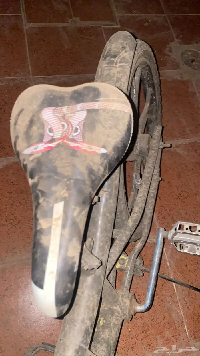 سلام عليكم ي شباب السيكل نضيف بس مفي جنط أمامي 1