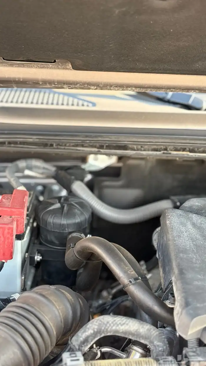 برادو 2024 ديزل 21