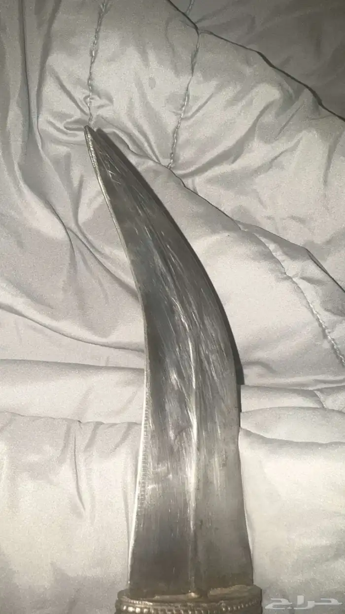 جنبيه زبيدي  أو احيانا تسمى جنبيه صنعانيه قديمه 2