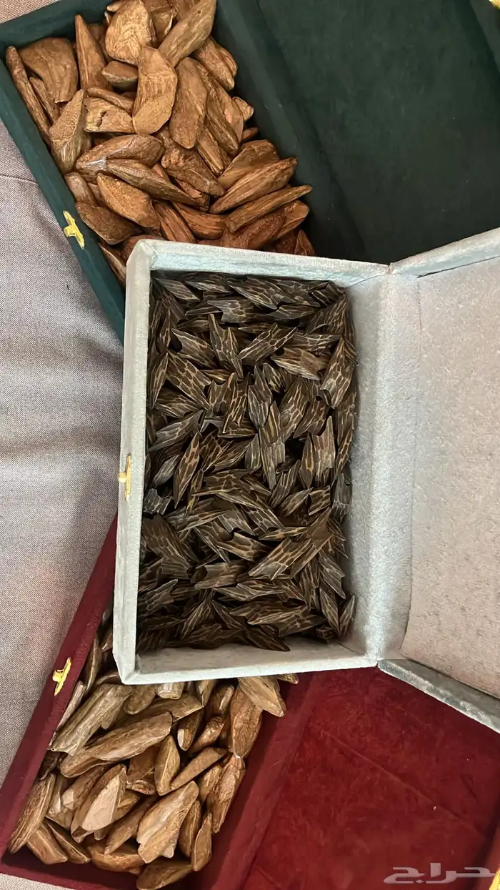 عود تايقر - عود مروكي - افضل انواع العود سعر رمزي 6