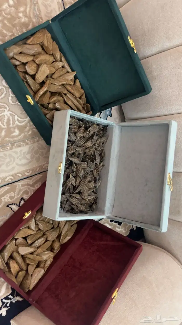 عود تايقر - عود مروكي - افضل انواع العود سعر رمزي 9