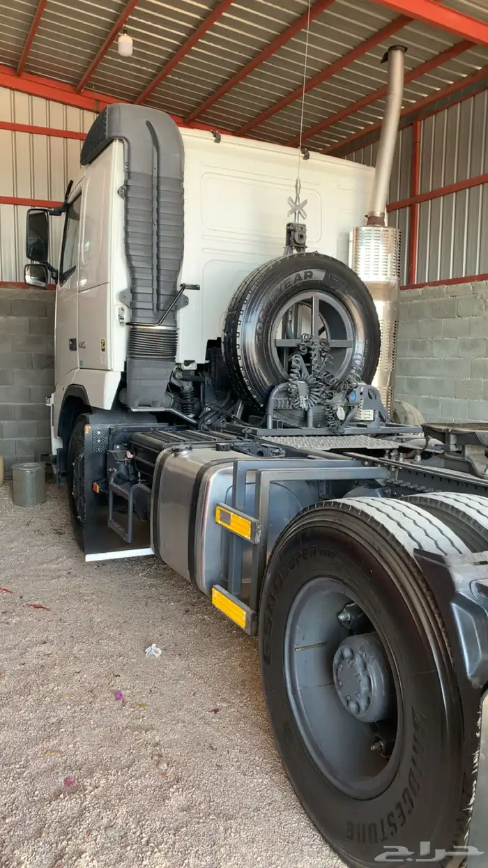 فلفو زاهد 2012 12