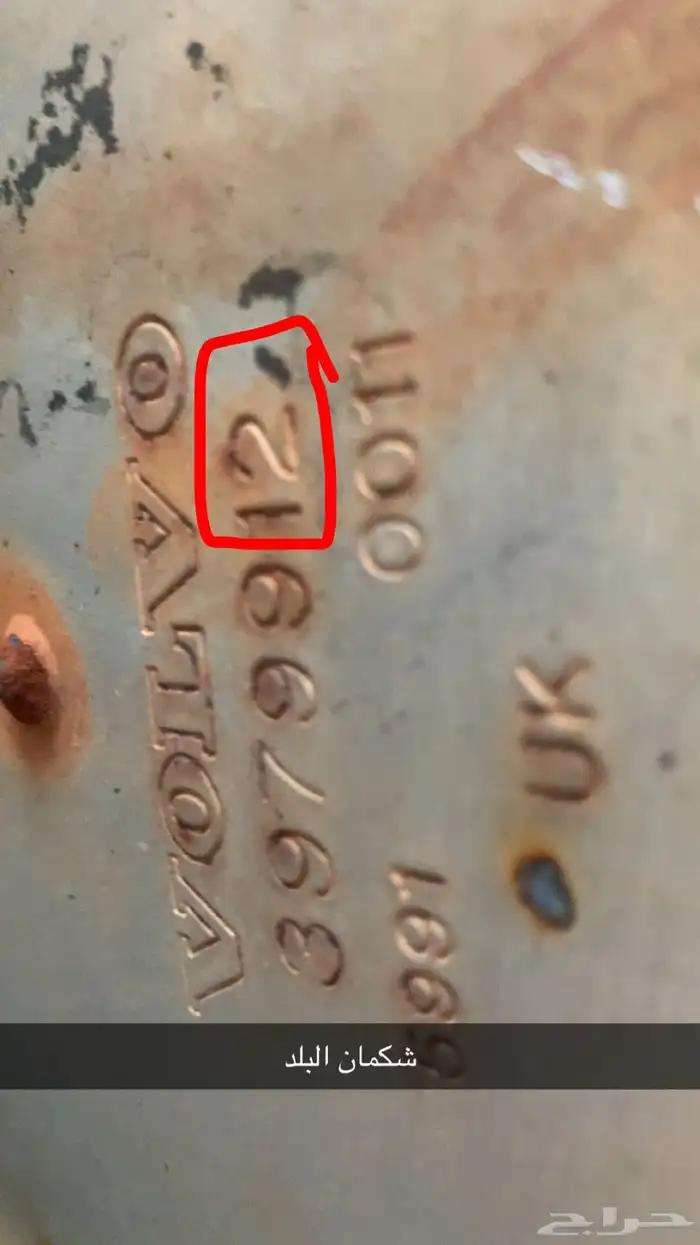 فلفو زاهد 2012 24