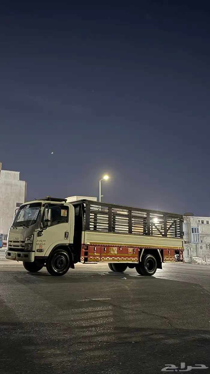 دينا للنقل 1