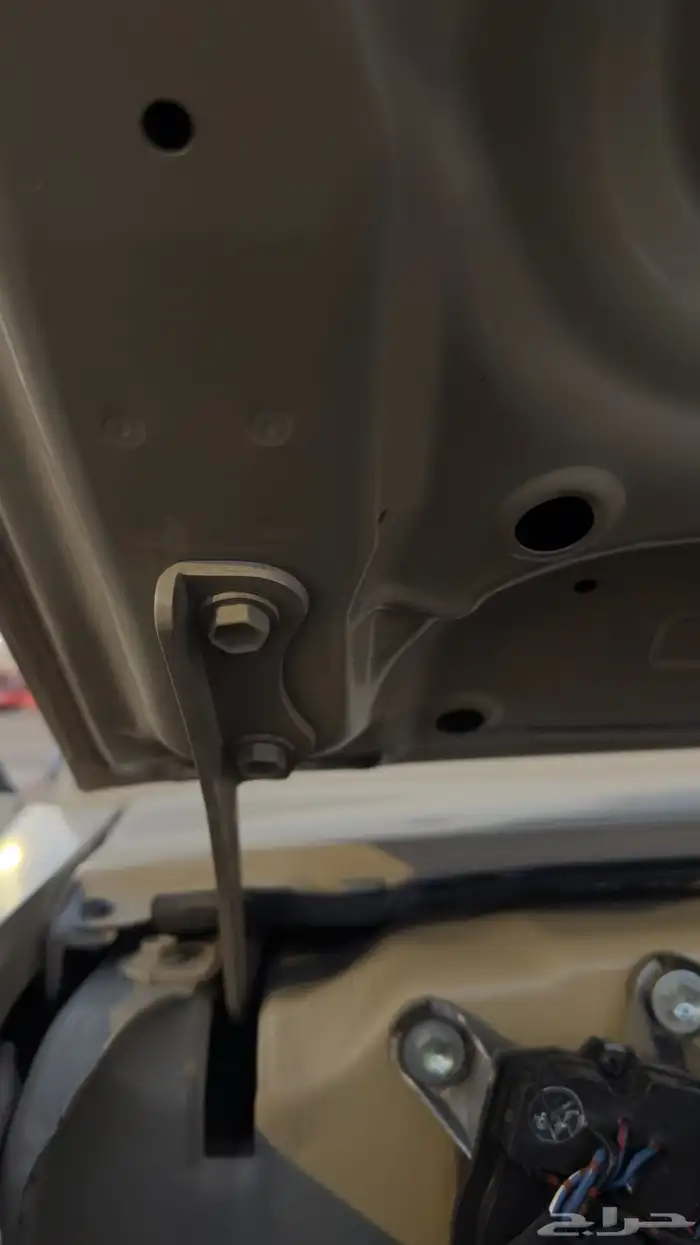 جيب شاص 2010 11