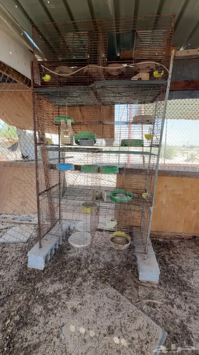 شبوك ومواصير وخشب للبيع 1