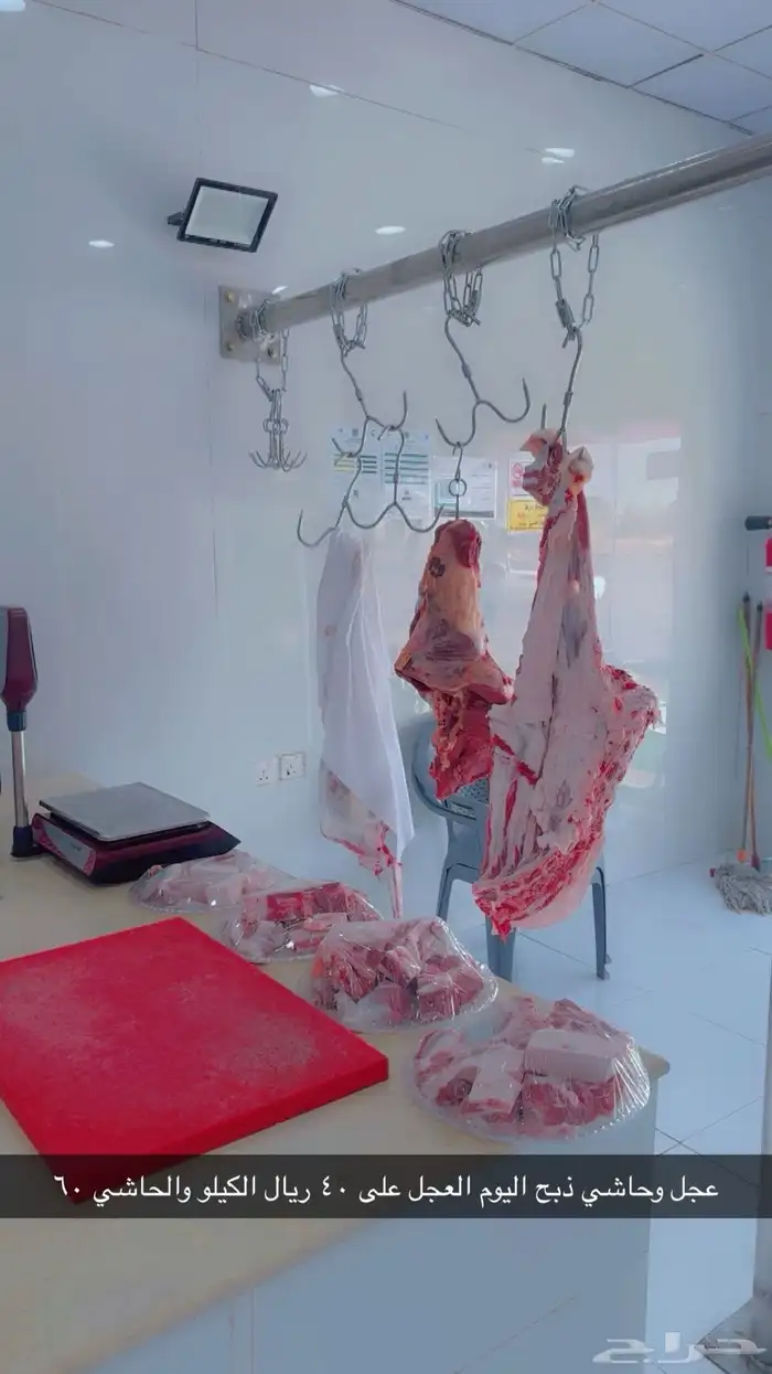 ملحمة حاشي مشعل 0