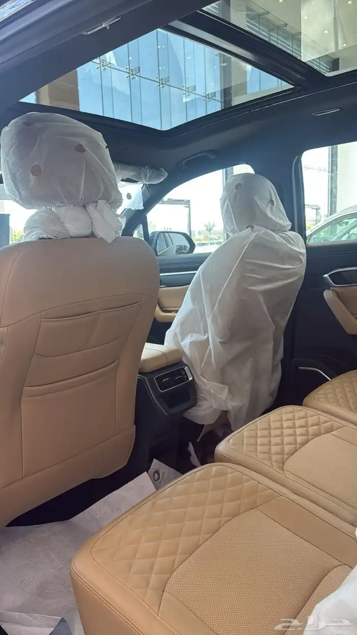 جيلي اوكافانجو 2025 4