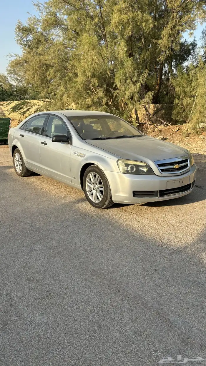 كابرس فضي 2012 3