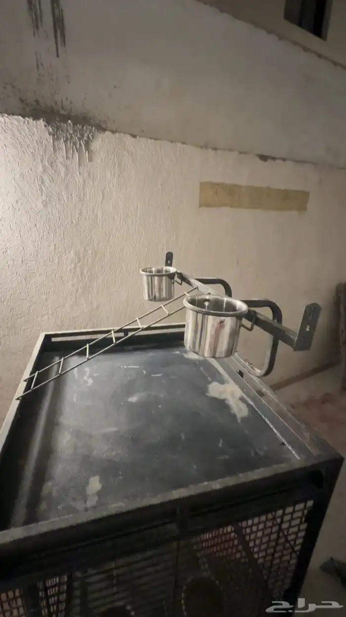 قفص ببغاء 1