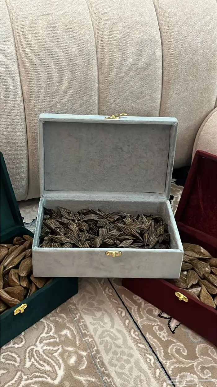 عود تايقر - عود مروكي - افضل انواع العود سعر رمزي 5