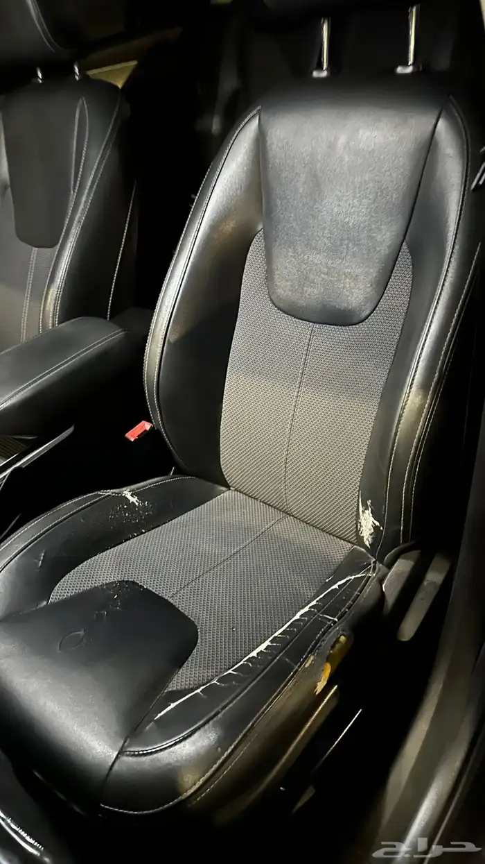 شيري اريزو 6 2020 4