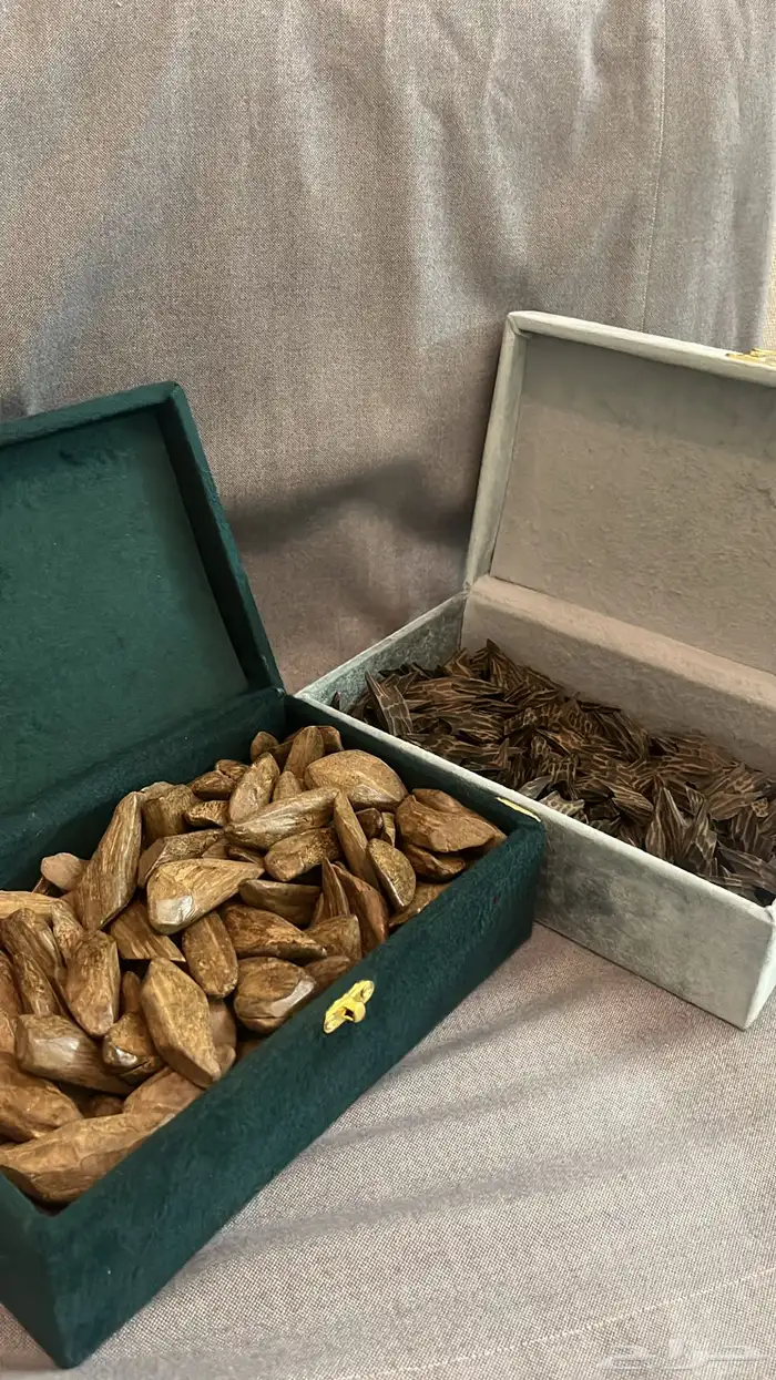 عود تايقر - عود مروكي - افضل انواع العود سعر رمزي 0