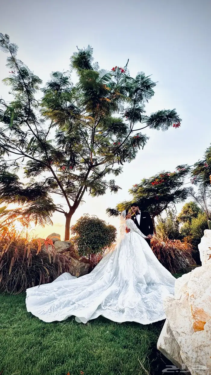 تصوير جميع الخدمات 4