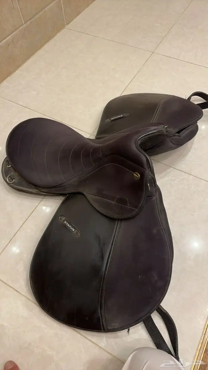 سرج استيتوس مع لبادة 0