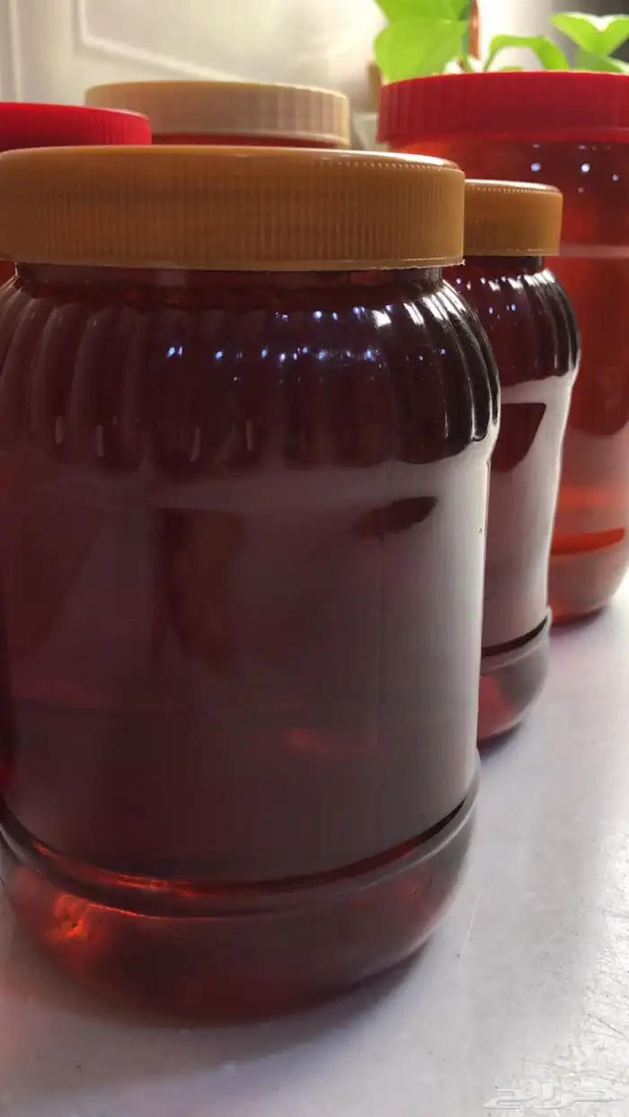 عسل طلح حايل 1