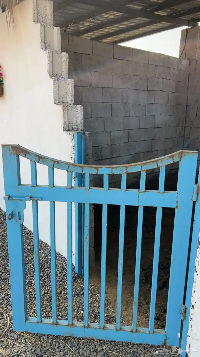 ابواب بوايك خيل 1