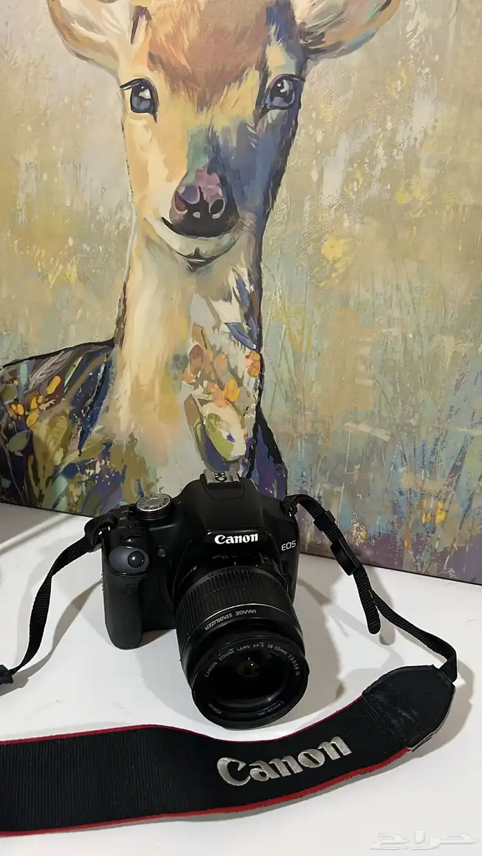 كاميرا كانون للبيع 0