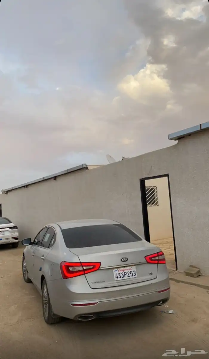 كادينزا 2016 للبيع 1