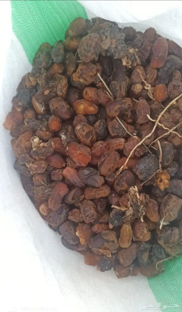 تمر أعلاف جدا نظيف وإنتاج هالسنة وحبة ممتازة 5