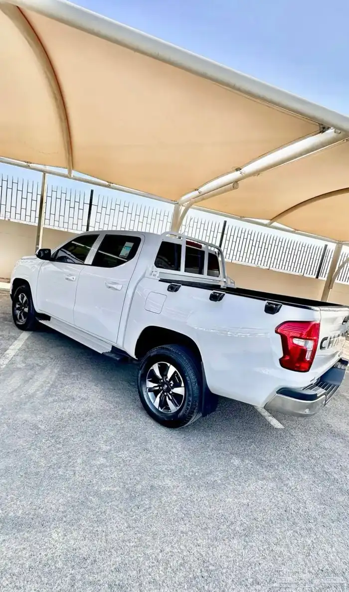 شانجان هنتر 0