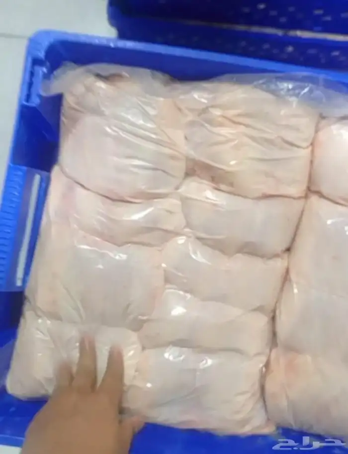 دجاج شاورما طازج يوميا 0