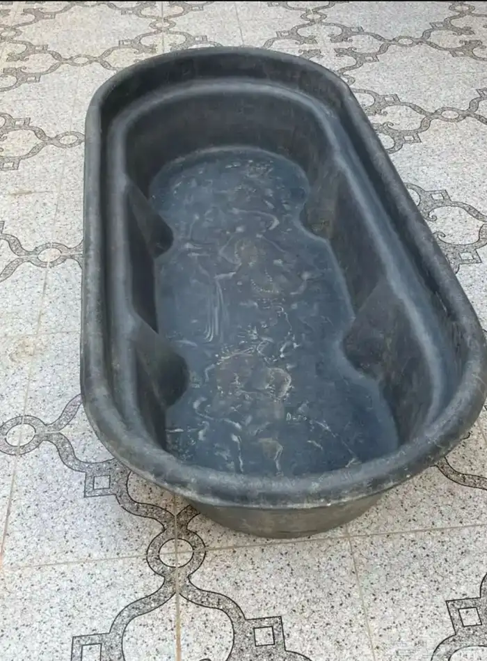 حوض غنم او للابل كبير 0