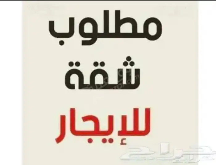 مطلوب شقه عزاب 0