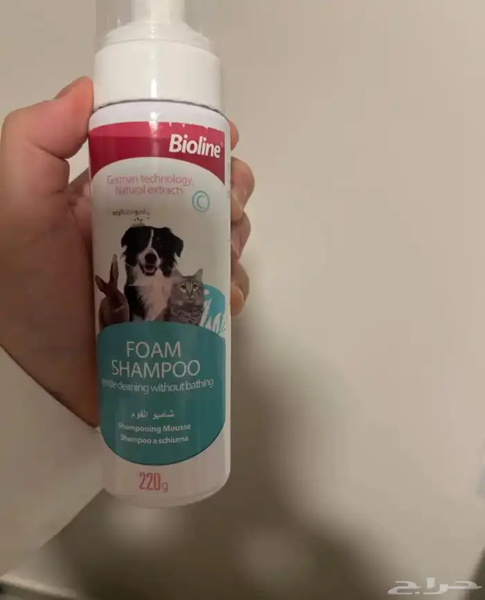 قفص. قطط كبير 5